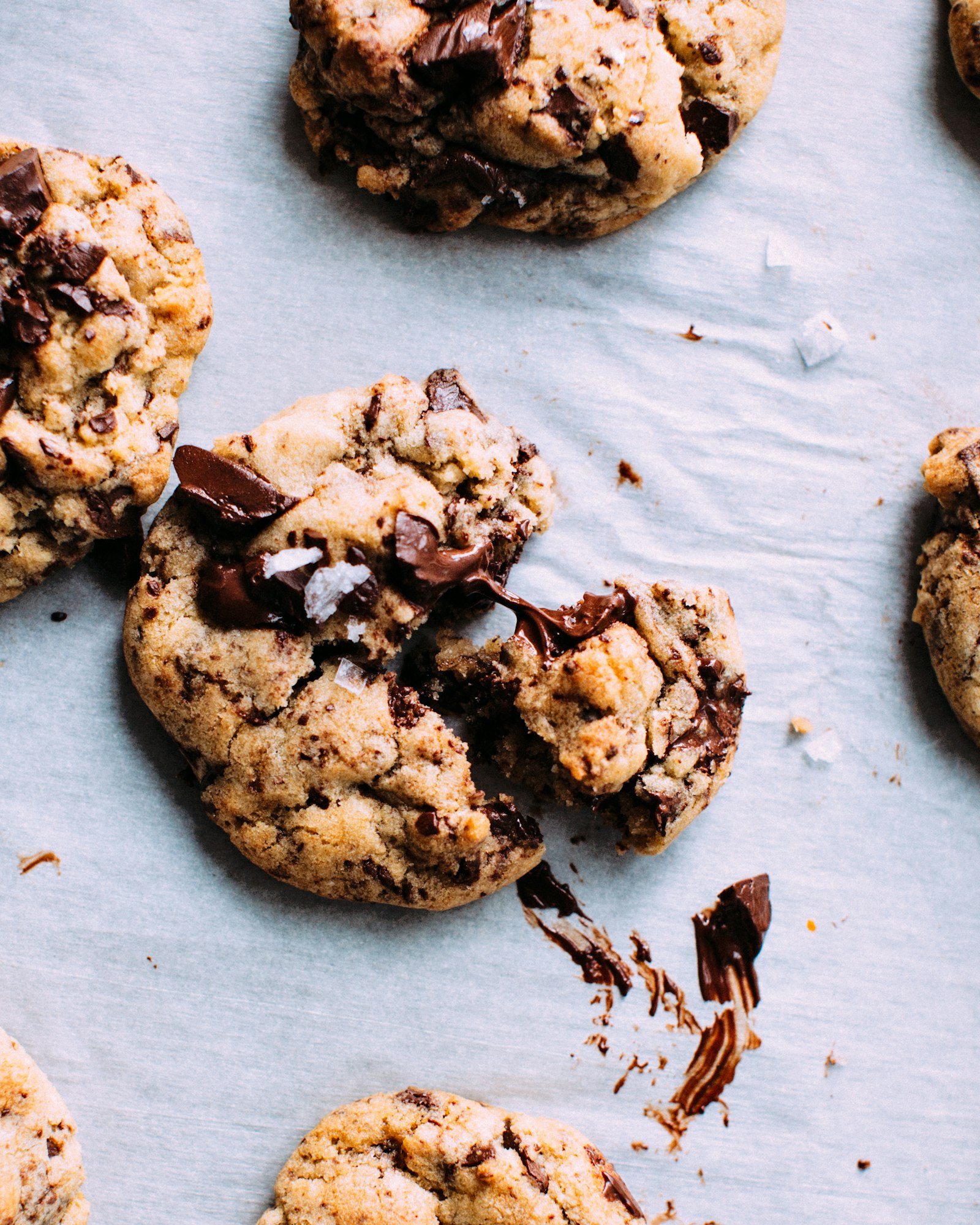 Fresh chocolate chip cookies